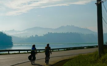 a couple of people riding bikes down a road