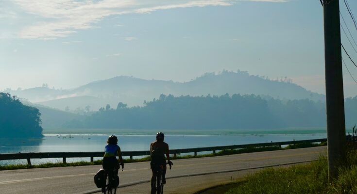 a couple of people riding bikes down a road